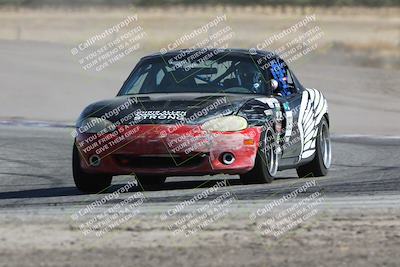 media/Oct-21-2023-Speed Ventures (Sat) [[ddf75163c5]]/Green/Grapvine/